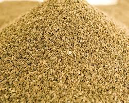 Celery Seed Manufacturer Supplier Wholesale Exporter Importer Buyer Trader Retailer in Amritsar Punjab India